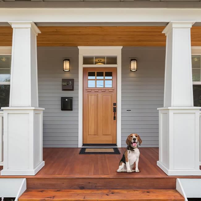 Dog sitting on front porch