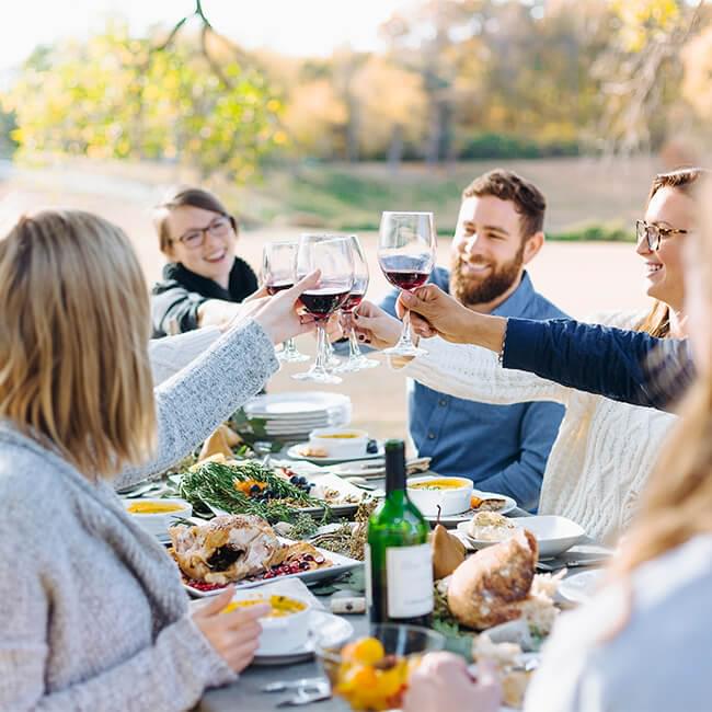Group of people having a toast while enjoying a meal