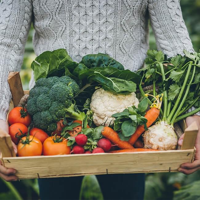 Crate of fresh vegetables