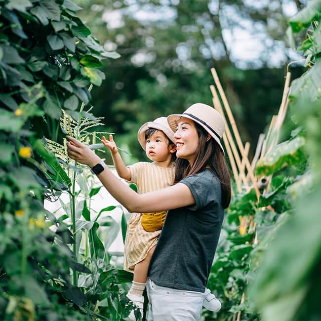 A mother holding her daughter admiring their plants