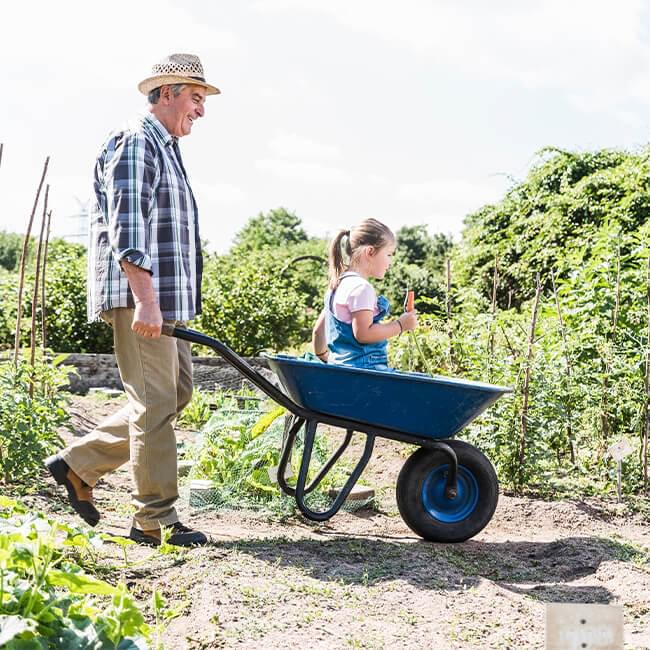 A man pushes a little girl in a wheelbarrow