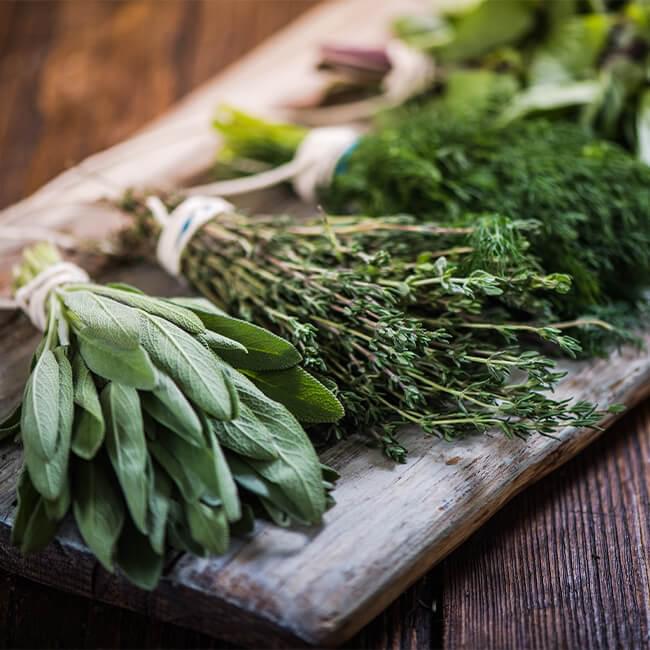 Bundles of herbs