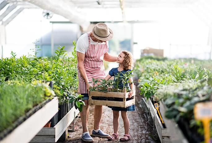 Man helping a little girl carry a crate of plants