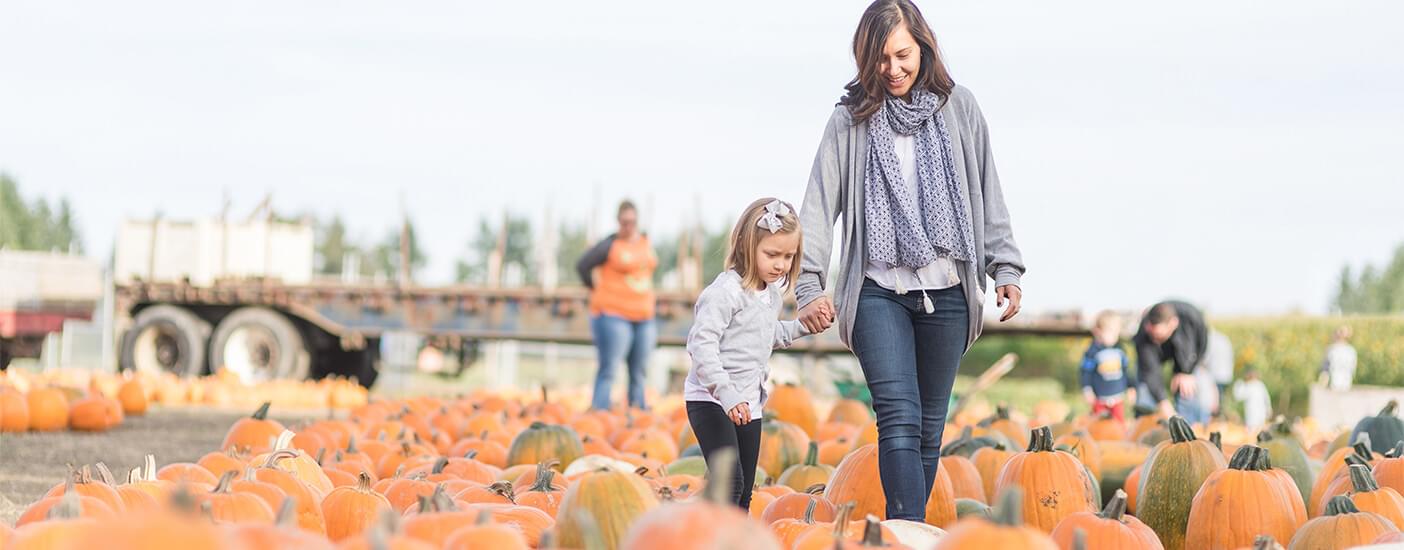 A little girl holds her mother's hand while walking through a pumpkin patch